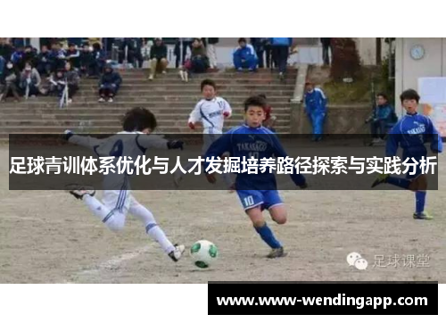 足球青训体系优化与人才发掘培养路径探索与实践分析 足球青训体系优化与人才发掘培养路径探索与实践分析