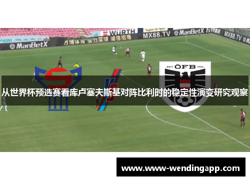 从世界杯预选赛看库卢塞夫斯基对阵比利时的稳定性演变研究观察