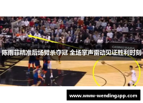 陈雨菲精准后场劈杀夺冠 全场掌声雷动见证胜利时刻